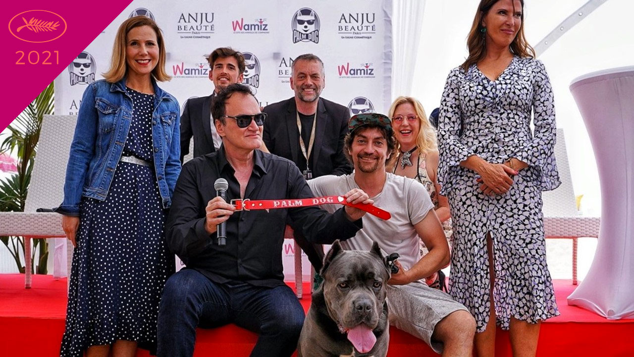 Cannes 2021 : qui va succéder au chien de Once Upon a Time Hollywood à la victoire de la PalmDog Wamiz ?