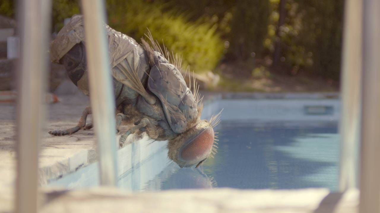VOD : quels sont les films à voir cette semaine du 19 au 25 septembre ?