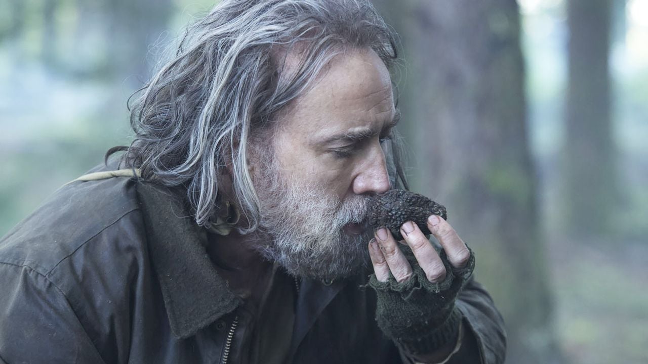 Les sorties cinéma du 27 octobre : The French Dispatch, Pig, La Fracture...