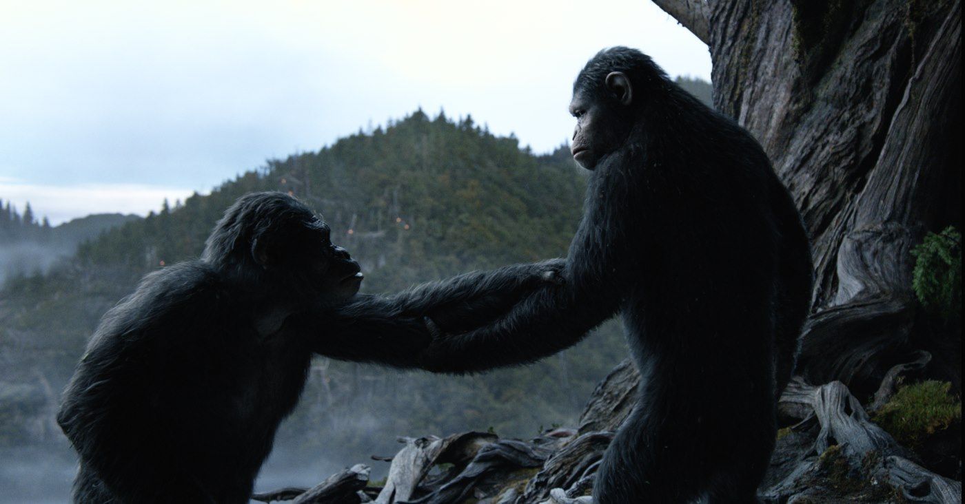 La Planète des singes : l'affrontement La Planète des singes : l'affrontement