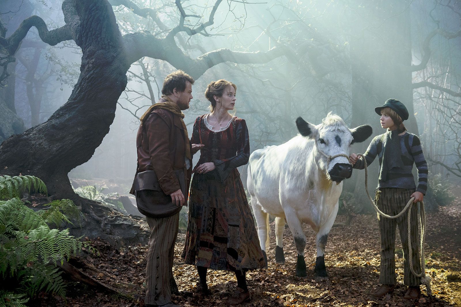 Film Promenons Nous Dans Les Bois Photo du film Into the Woods, Promenons-nous dans les bois - Photo 11