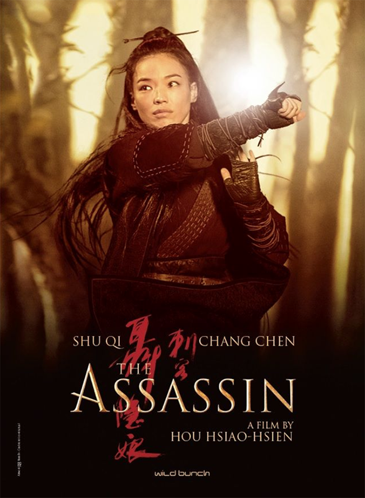 Affiche du film The Assassin - Affiche 3 sur 3 - AlloCiné