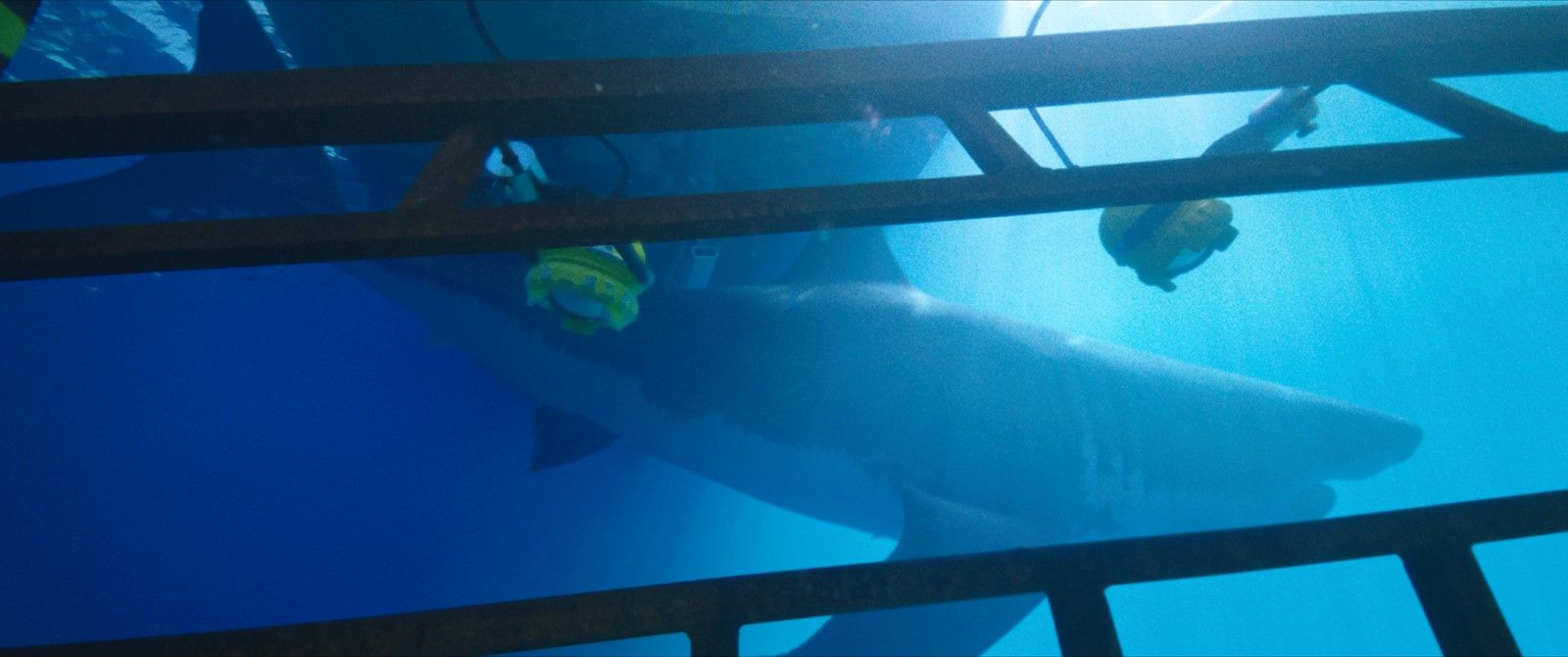47 Mètres De Fond - Hors De La Cage 47 Meters Down Film Streaming