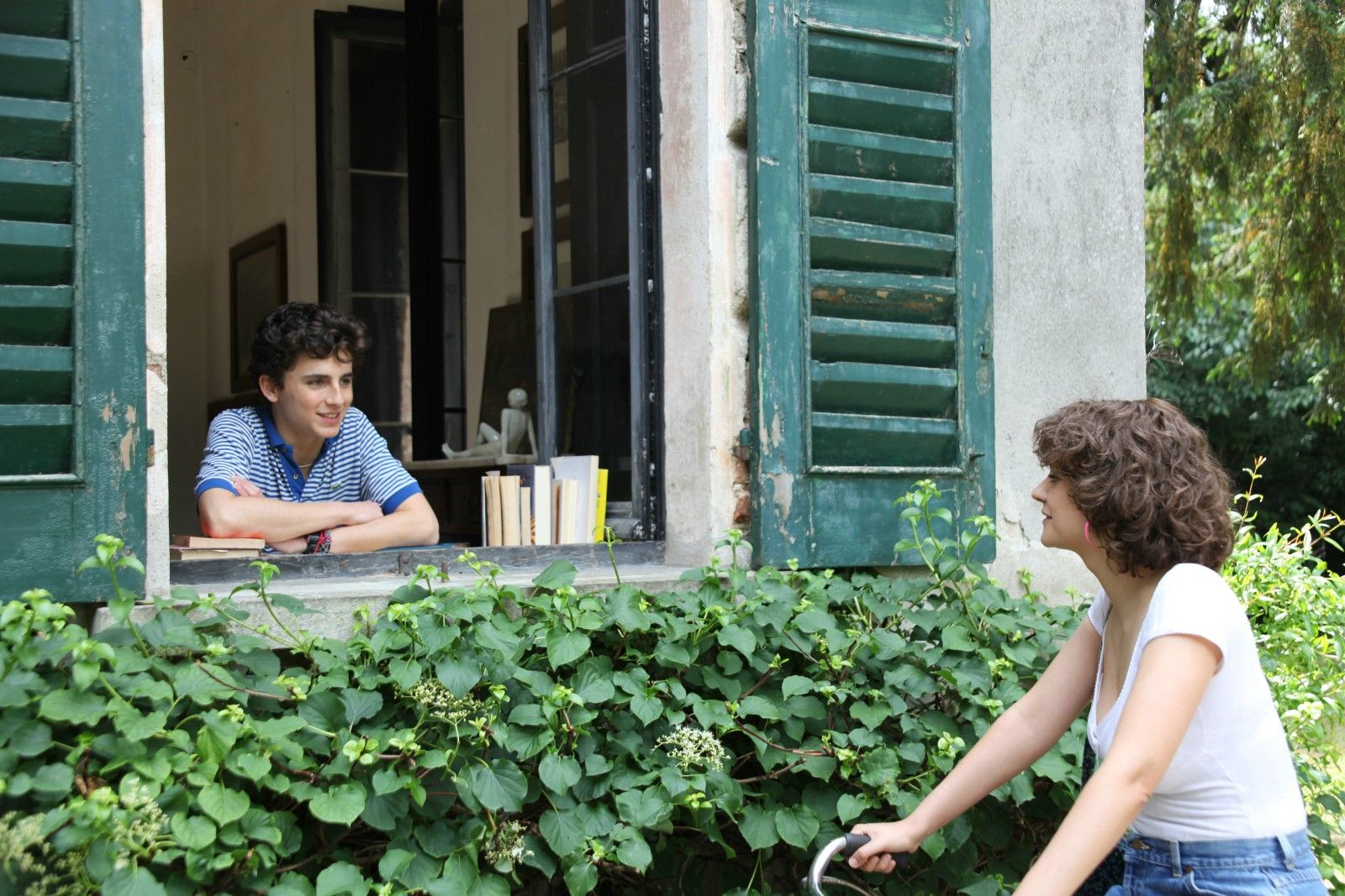 Descargar Gratis Call Me By Your Name