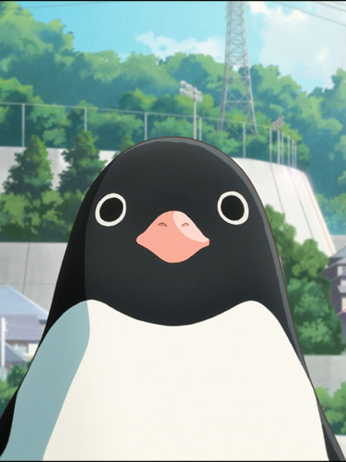 Penguin Highway - Film 2018 - AlloCiné