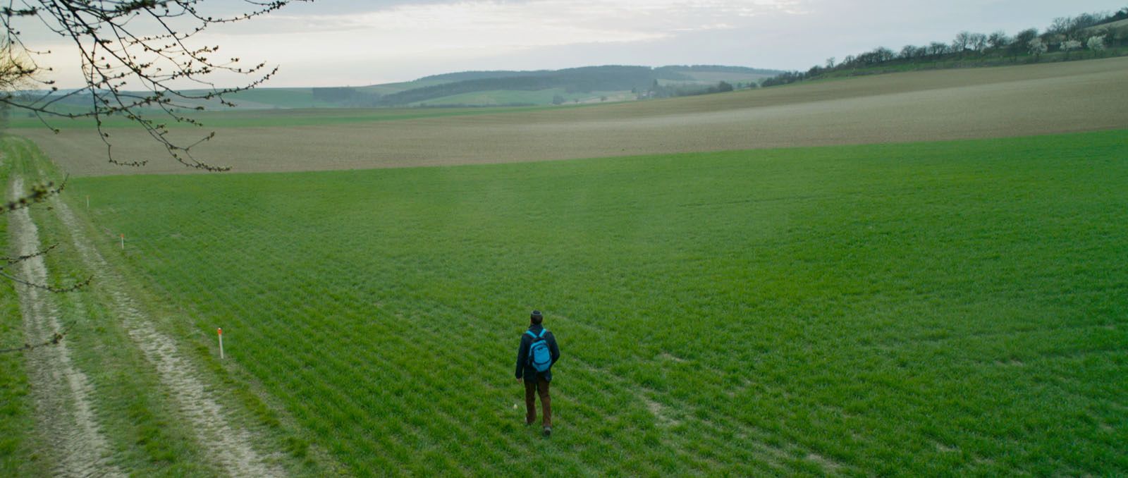 Les Témoins de Lendsdorf Les Témoins de Lendsdorf