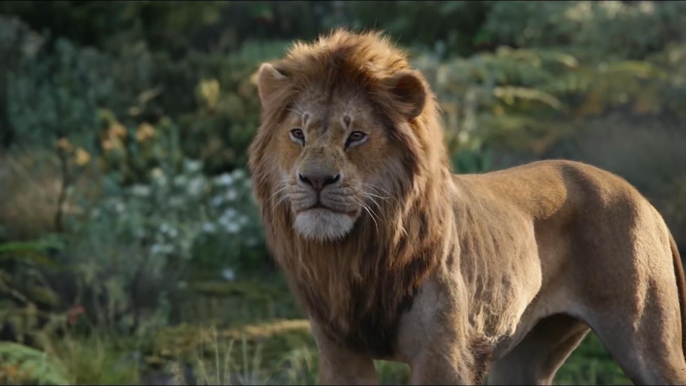 Le Roi Lion Le Roi Lion