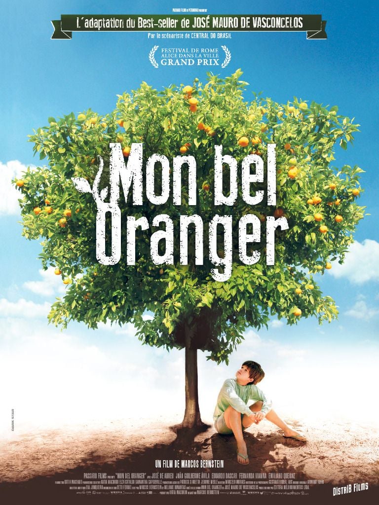 Mon Bel Oranger Fiche De Lecture 5eme