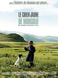 Photo : Le chien jaune de Mongolie