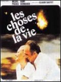 Photo : Les choses de la vie