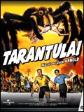 Photo : Tarantula