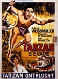 Photo : Tarzan s'évade