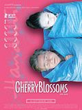 Photo : Cherry Blossoms Photo : Cherry Blossoms
