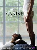 Photo : Canine