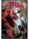 Photo : Boa vs. Python (V) Photo : Boa vs. Python (V)