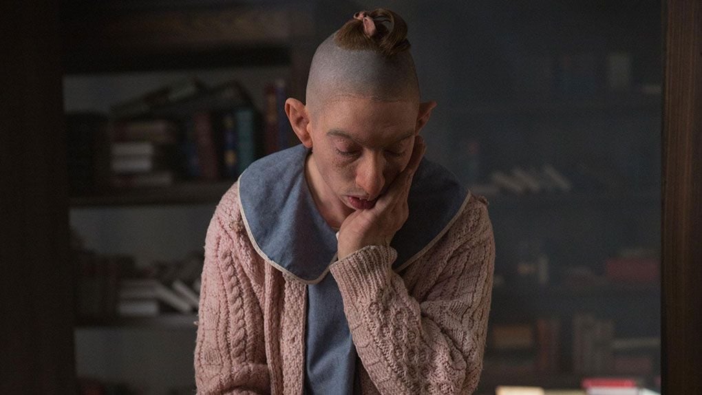American Horror Story découvrez toutes les connexions entre les