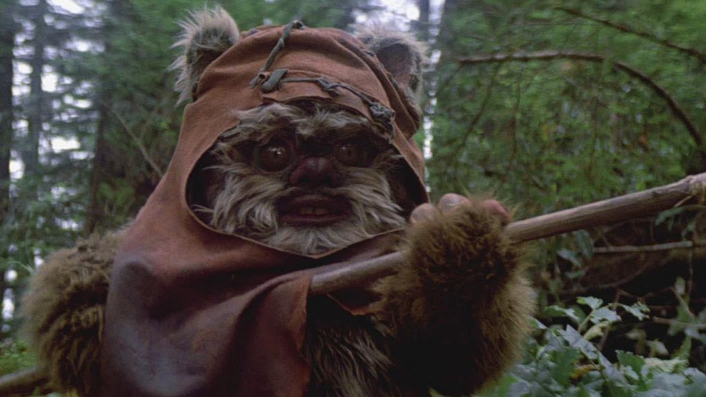 Star Wars : les créatures les plus étranges de la galaxie: Les Ewoks