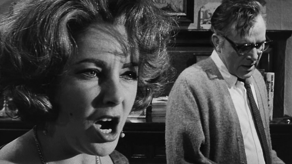 Chi Ha Paura Di Virginia Woolf Trama