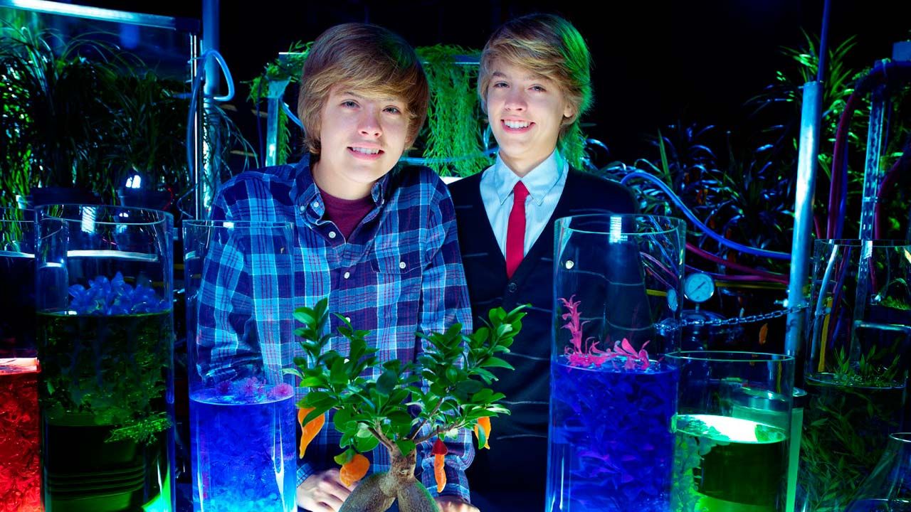 Zack Et Cody Film Photo de Zack et Cody : le film - Photo 2 sur 847 - AlloCiné