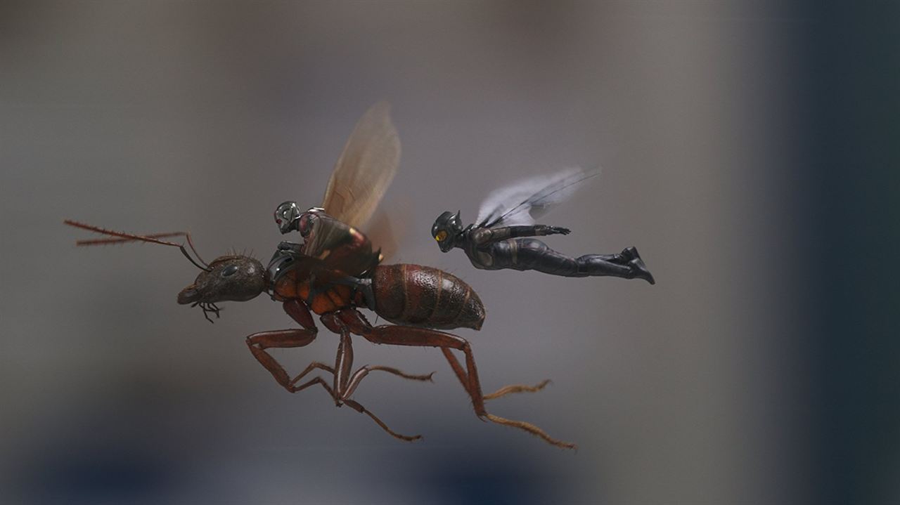 Image result for ant-man et la guepe