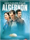 Des fleurs pour Algernon Des fleurs pour Algernon