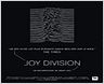 "Joy Division" : rencontre avec le réalisateur Grant Gee