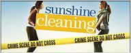 "Sunshine Cleaning" décliné en série ?