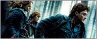 Box-office : Potter prend de la hauteur