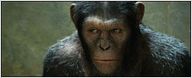 1ères séances : le retour gagnant des singes 