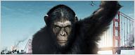 Box-office France : les singes matent les cowboys !
