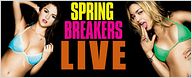 "Spring Breakers" : le tapis rouge en live !