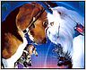 "Comme chiens et chats" : la suite