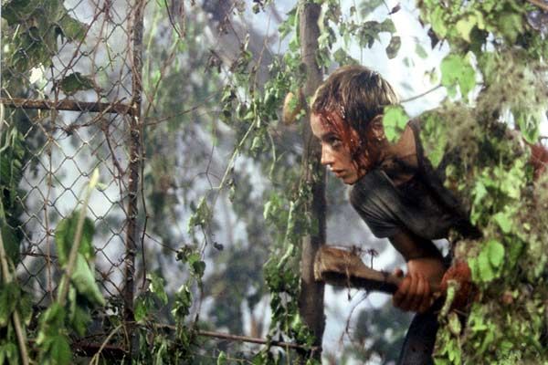 p2.jpg