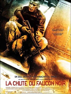 La chute du faucon noir dvdrip truefrench