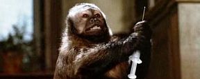 Journée Mondiale des animaux dans les laboratoires : 3 films autour du sujet Journée Mondiale des animaux dans les laboratoires : 3 films autour du sujet