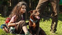 Love and Monsters sur Netflix : quel est son lien avec Les Gardiens de la Galaxie ? Love and Monsters sur Netflix : quel est son lien avec Les Gardiens de la Galaxie ?