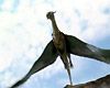 <strong>Eragon</strong> Bande-annonce VF