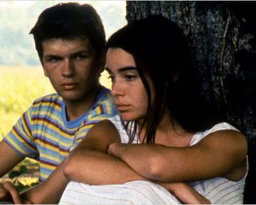 Les roseaux sauvages - film 1994 - AlloCin