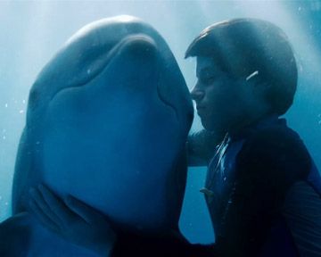 <strong>L'Incroyable histoire de Winter le dauphin</strong> Bande-annonce VF