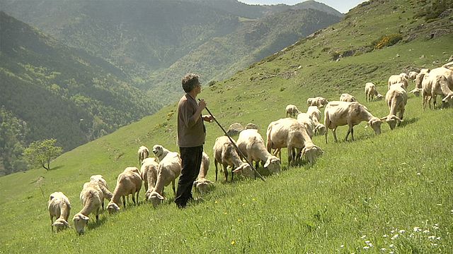 Les petits gars de la campagne Bande-annonce (2) VF