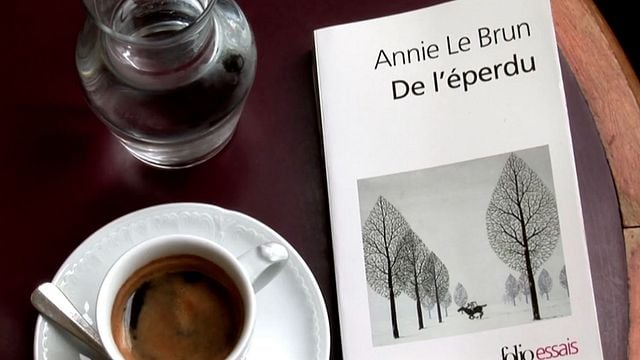 <strong>L'Echappée, à la poursuite d’Annie Le Brun</strong> Bande-annonce VF