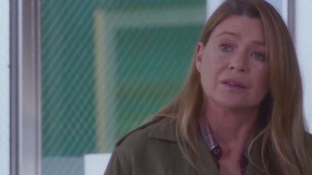 Distribution De Grey's Anatomy Saison 16 Grey's Anatomy : l'équipe réunie pour fêter le 350e épisode - AlloCiné