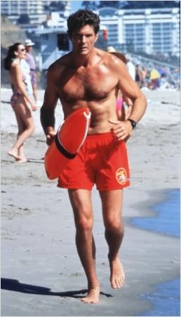 Alerte à Malibu : photo David Hasselhoff