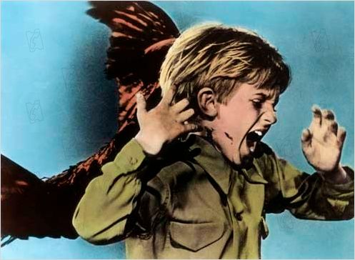 Les Oiseaux : photo Alfred Hitchcock