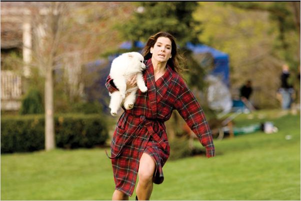La Proposition : Photo Anne Fletcher, Sandra Bullock