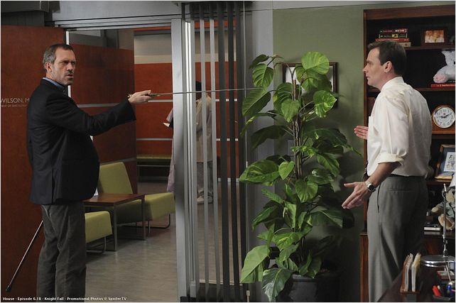 Dr House : photo Hugh Laurie, Robert Sean Leonard