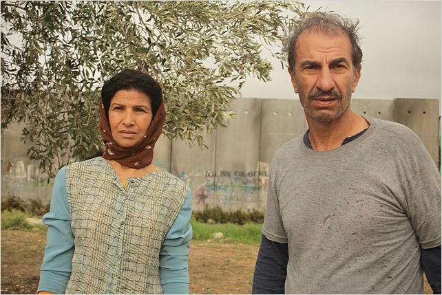 Le cochon de Gaza : Photo