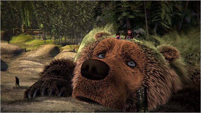 L'Ours Montagne : photo