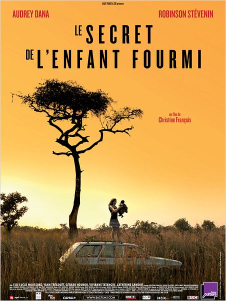 Le Secret de l'enfant fourmi : affiche