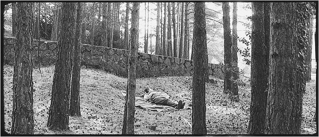 Rêve et silence : photo
